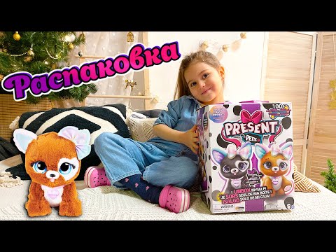 Present Pets Распаковка