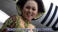 Campursari Gagrak Anyar SAMBAL KEMANGI Vo c Ririk S - Durasi: 4:47. Campursari Gagrak Anyar SAMBAL KEMANGI Vo c Ririk S - Durasi: 4:47.