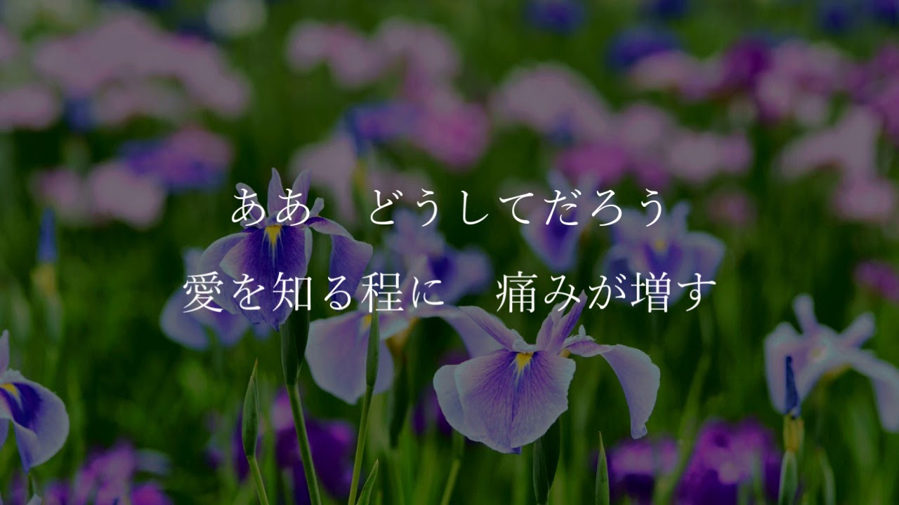 ルルティア (Rurutia) - アイリス (Iris) [中字][Eng Sub