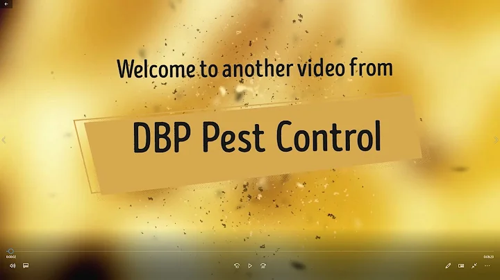 DBP Pest Control - Night ratting with the .177 BSA Scorpion
