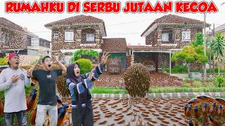 MY HOUSE IS INFESTED BY A COCKROACH INFESTATION