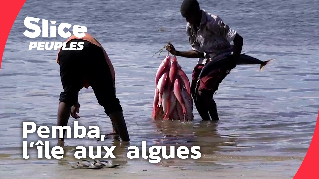 Wapemba : quand les femmes cultivent en mer I DOC ENTIER | SLICE PEUPLES