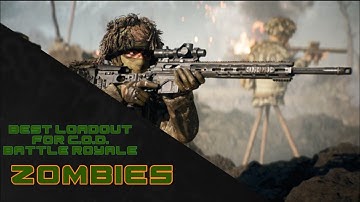 Best C.O.D. Zombies loadout