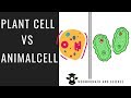 Plant cell vs Animal cell ( Compare and Contrast )
