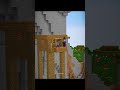 Minecraft Witch Surprise Seed Moment