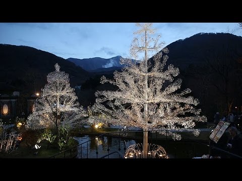 クリスタルツリー、幻想的に輝く 箱根ガラスの森美術館 - YouTube