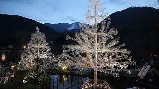 クリスタルツリー、幻想的に輝く 箱根ガラスの森美術館 - YouTube