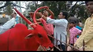 Happy Sankranti Factory Circle Mandya Sankranthi