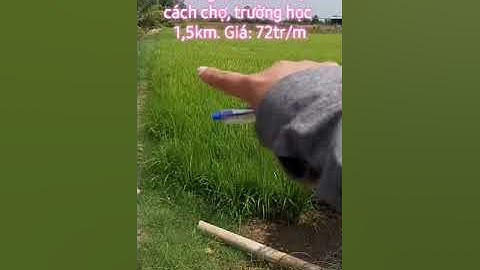 Đất Lúa giá rẻ| Giá 72tr/m - Bình Hòa Bắc, Đức Huệ, Long An. DT 25x55m