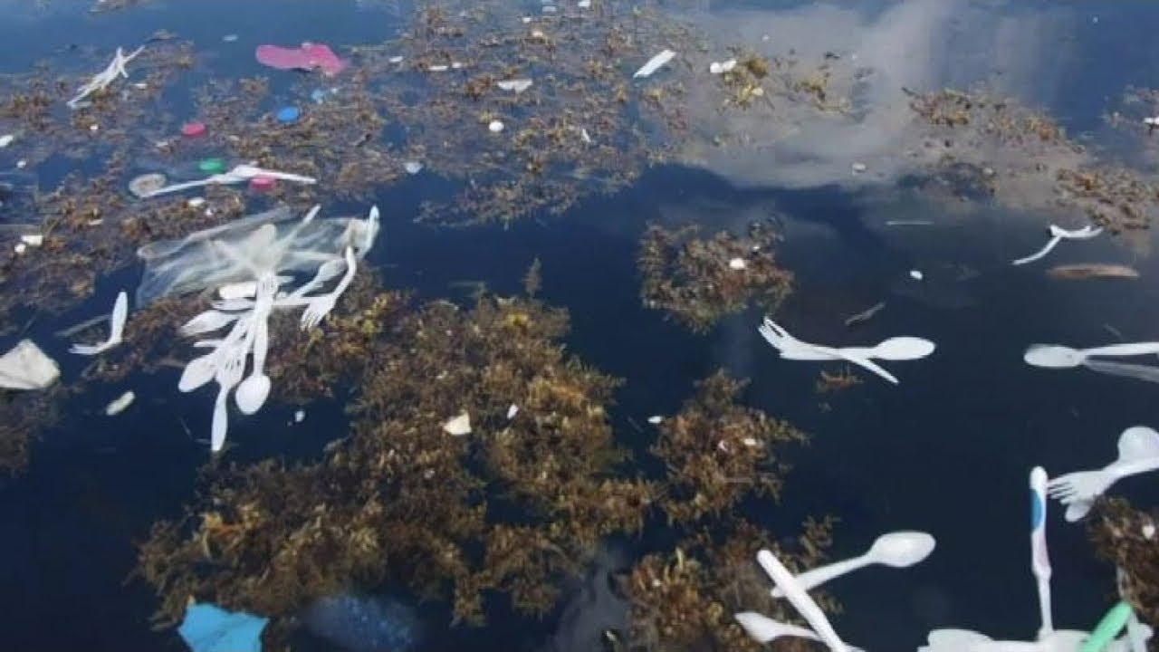 L'Ue verso lo stop a cotton fioc e piatti di plastica