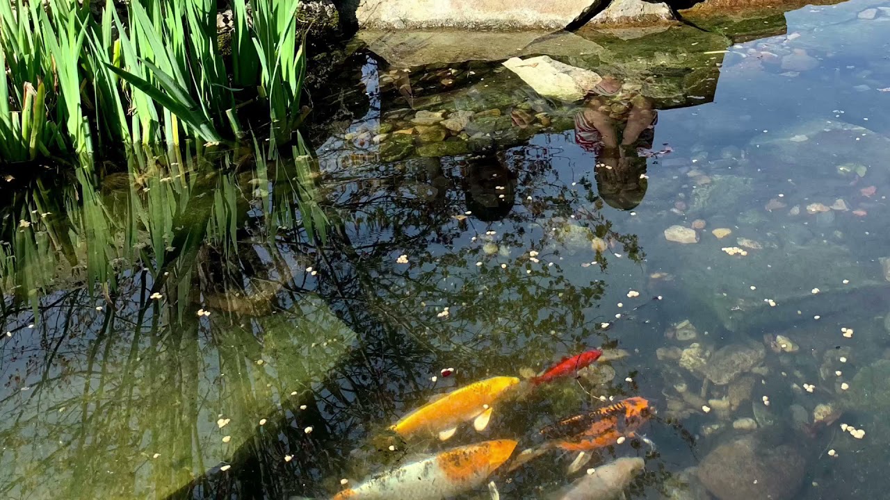 God Bless You, Knuckles!