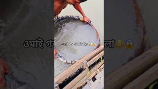 এই কেয়া হুয়া #funnyvideo #fishingfails #comedy #villagelife #fishing #funny #shortsvideo #reels