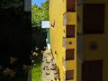 The comings and goings of the hive