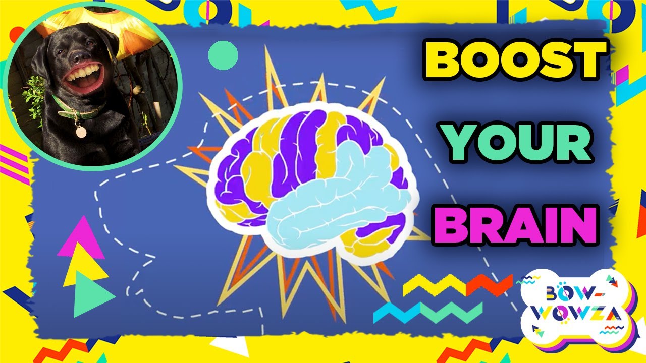 10 Minute Brain Boost - YouTube