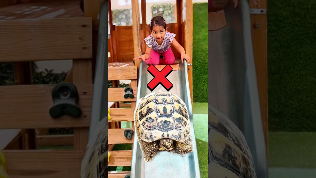 Saanvi Ne Animals Ko Bacha Liya😳 Kids learn to save animals