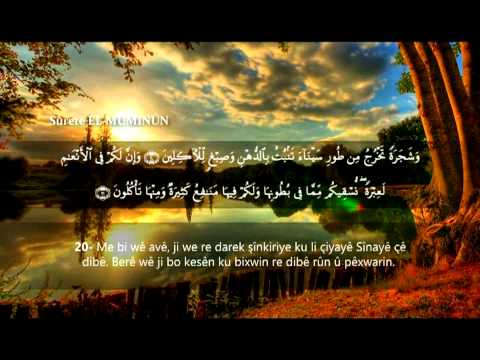 القرآن الكريم مع ترجمة معاني إلى كافة اللغات