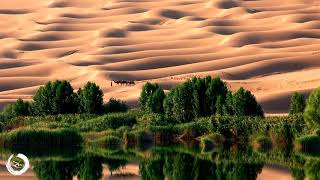 1 Hour Arabian Music | Relaxing Middle Eastern Desert Music