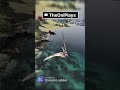 What was going on here? #theisle #theisleevrima #theislegame #dinosaur #theoniplays #pteranadon