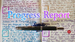Progress Report - November 2025