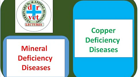 Co je akutní zánět ovcí?