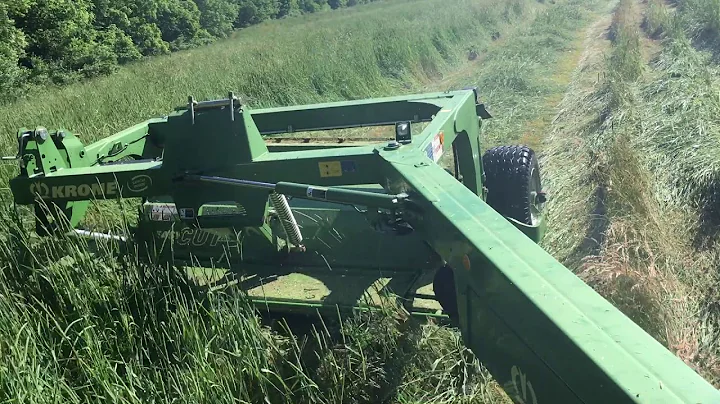 IH Farmall 756 & Krone 2801cv Cutting Timothy Hay ...