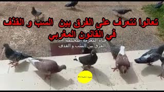 تعالوا نتعرف على الفرق بين  السب و القذف في القانون المغربي