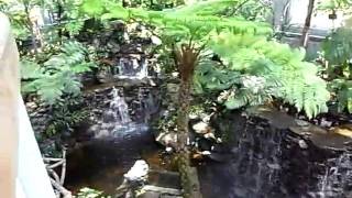 牧野植物園　温室