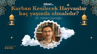 Kurban Kesilecek Hayvanlar Kaç Yaşında Olmalıdır? I Hikmet.net (Dr. Yüksel Çayıroğlu Cevaplıyor)