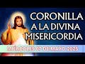 RECIBE LAS GRACIAS Y PROMESAS DE DIOS