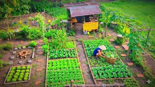 Moments of Peaceful Harvests, Warm Meal Memories 🌿