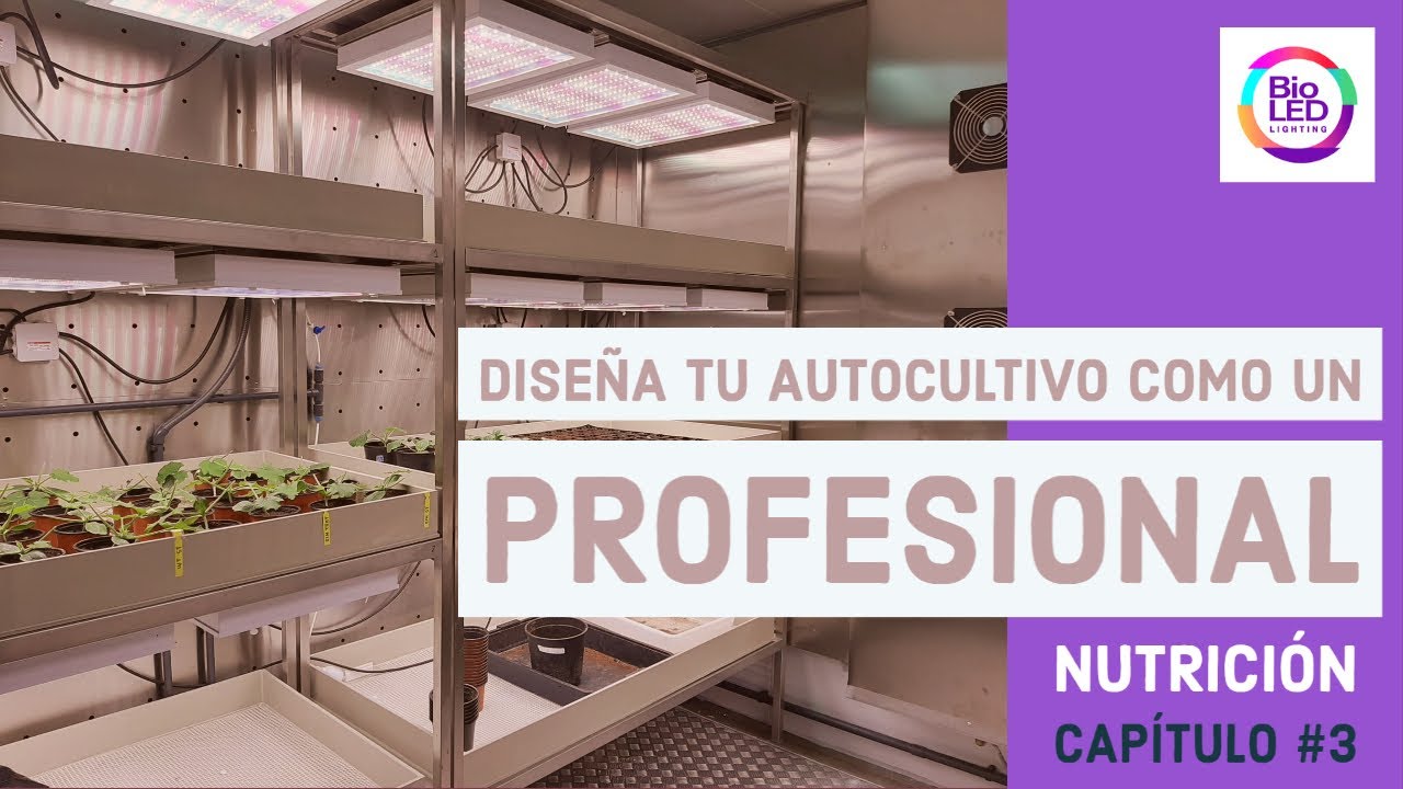 Diseña tu sala para cultivar cannabis como un profesional - NUTRICIÓN