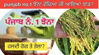 Download Lagu ਪੰਜਾਬ no. 1 ਝੋਨੇ ਦਾ ਝਾੜ। Punjab NO 1 paddy yield 2025? MP3