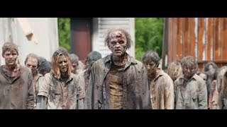 28 недель спустя 28 недель спустя