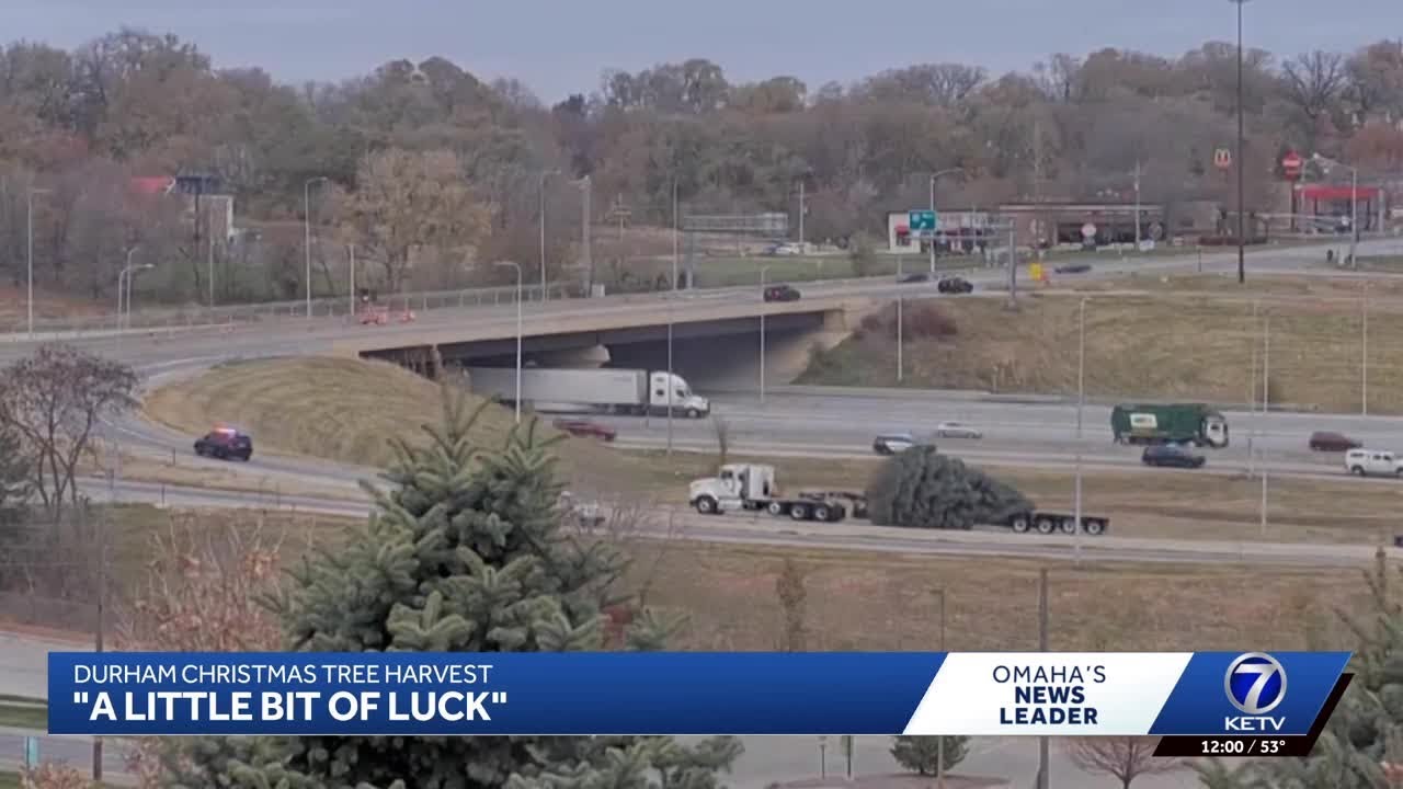 Behind the Omaha's official Christmas tree for 2025 at Durham Museum