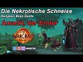 Guide: Amarth | Die Nekrotische Schneise (Necrotic Wake) | WoW TWW Season 1 | deutsch