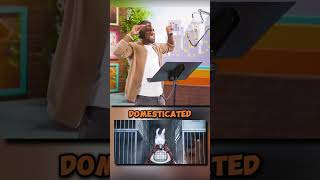 Behind The Voices Of Kevin Hart