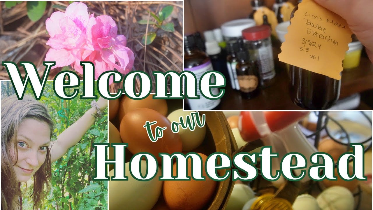 Homestead Tour | Welcome to our Homestead! Carolina Homestead - YouTube