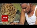 Indian man shares his house with leopards and bears  bbc news