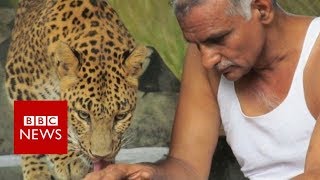 Indian man shares his house with leopards and bears  BBC News