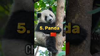 Top 10 Animales Emblemáticos De Diferentes Países #animales #países #toro #tiburón #vaca #animal