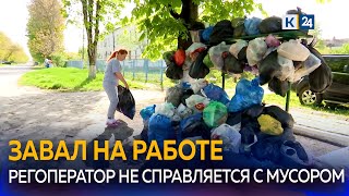 Несколько районов Кубани превратились в свалки