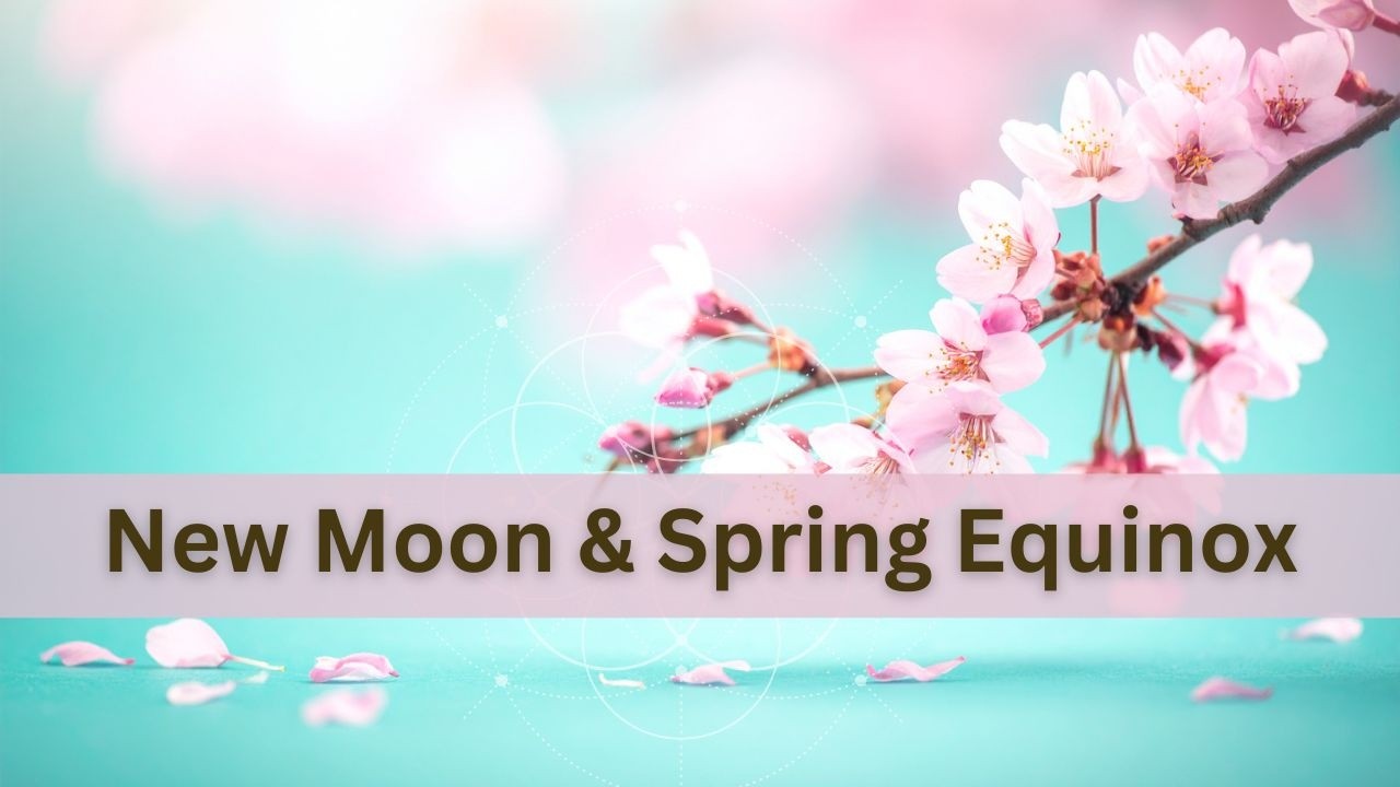 New Moon Spring New Moon +Spring Equinox 🌼 - YouTube