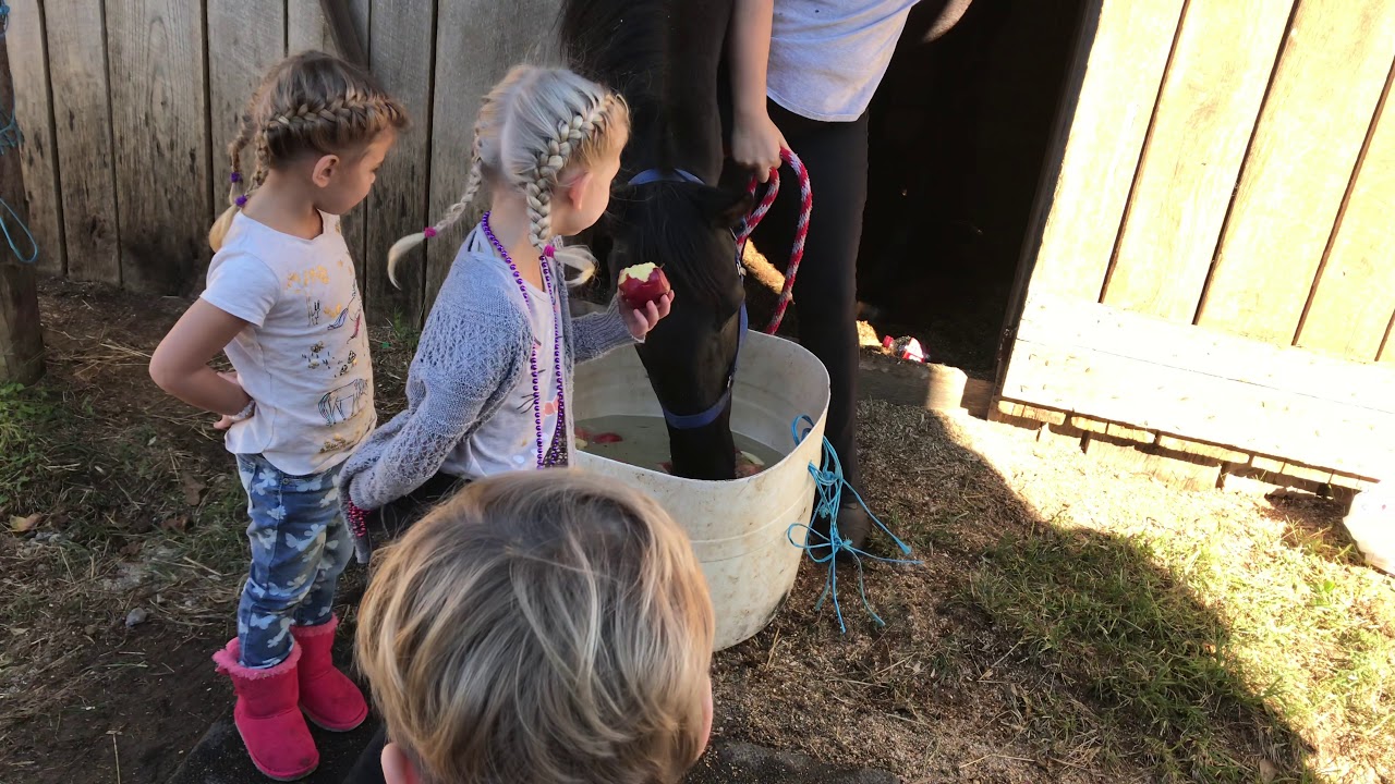 Bobbing for Apples - YouTube
