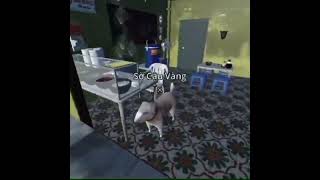 Bộ Bà Ông Tướng