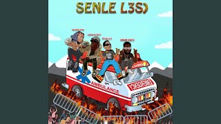 SENLE L3S)