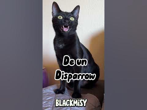 ozzy osbourne de que murio