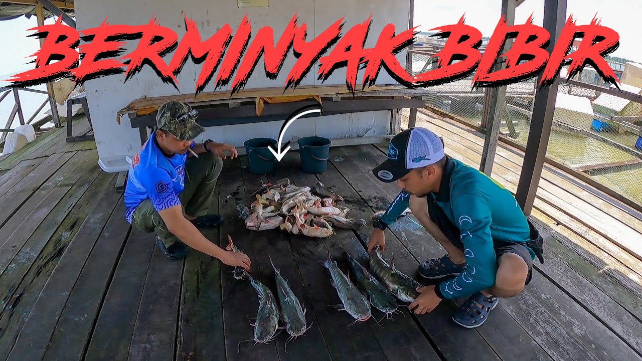 Microjig & Bottom Rakit Al baraqah