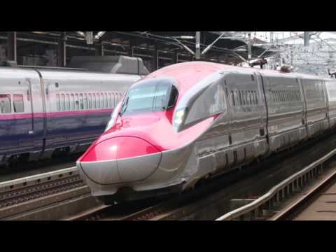 E5系+E6系はやぶさ+こまち9号　那須塩原通過