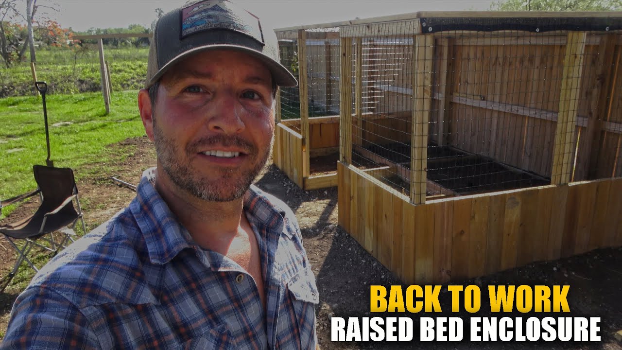 DIY Raised Bed Enclosure Gardening South Texas Living YouTube
