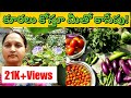 68-హార్వెస్ట్ చేద్దాం రండి Harvesting veggies| vegetable gardening leafy vegetable harvest